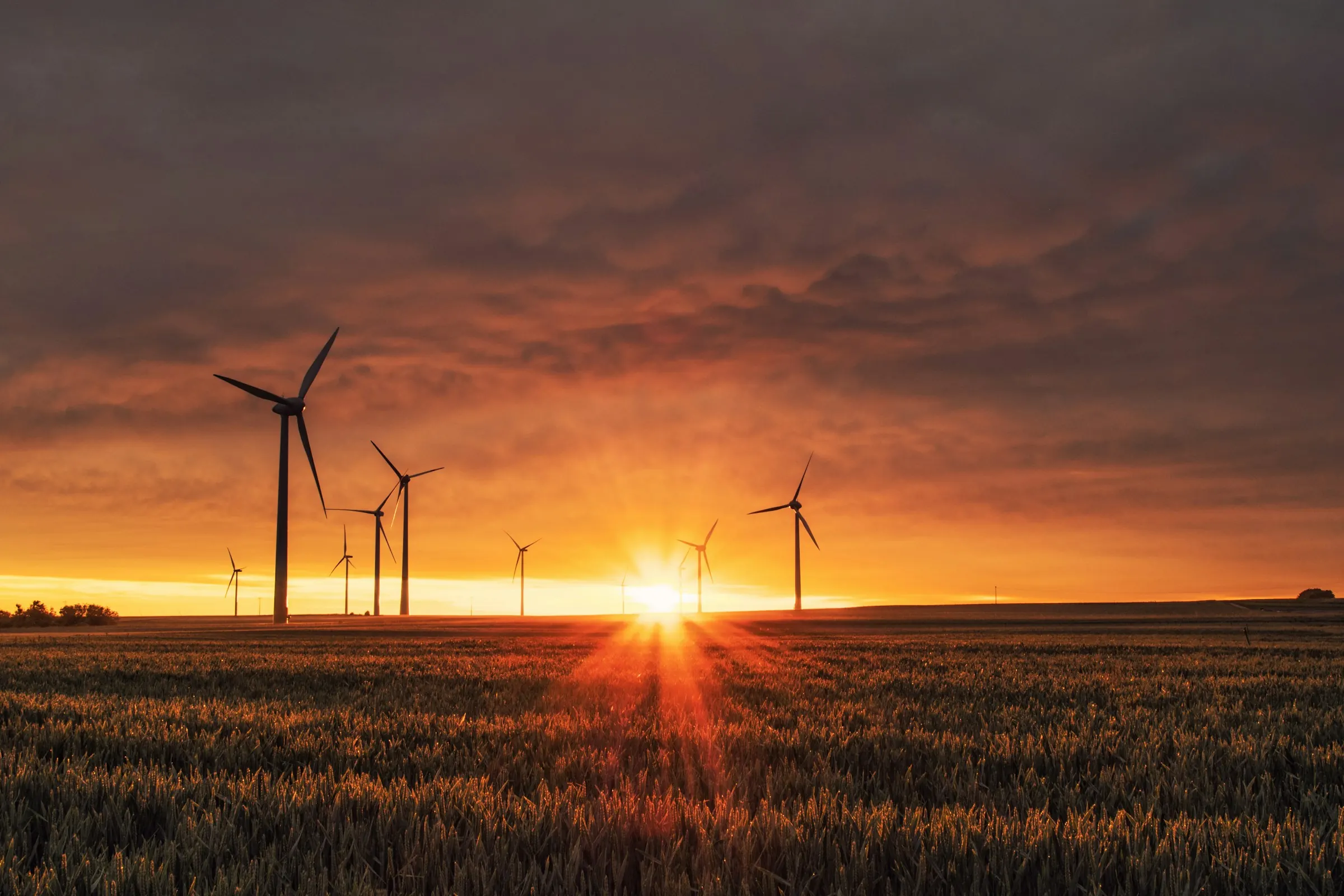 Wind turbines across an open landscape at sunset